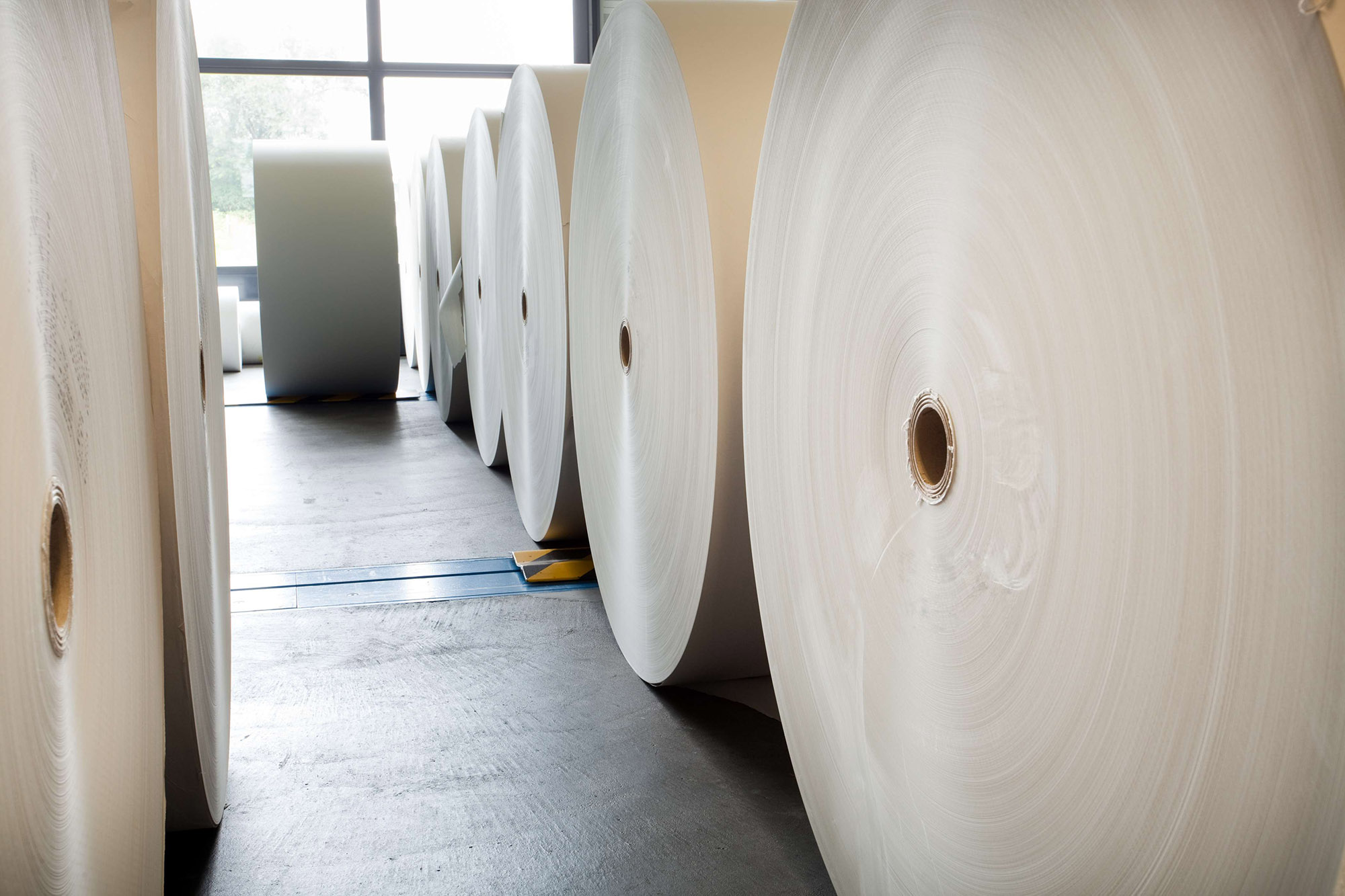 Large rolls of paper.