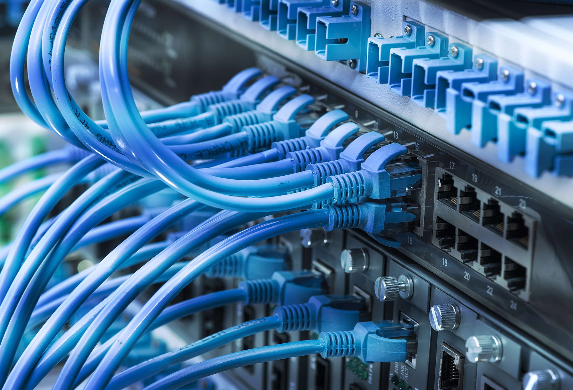 Ethernet cables plugging into a server.