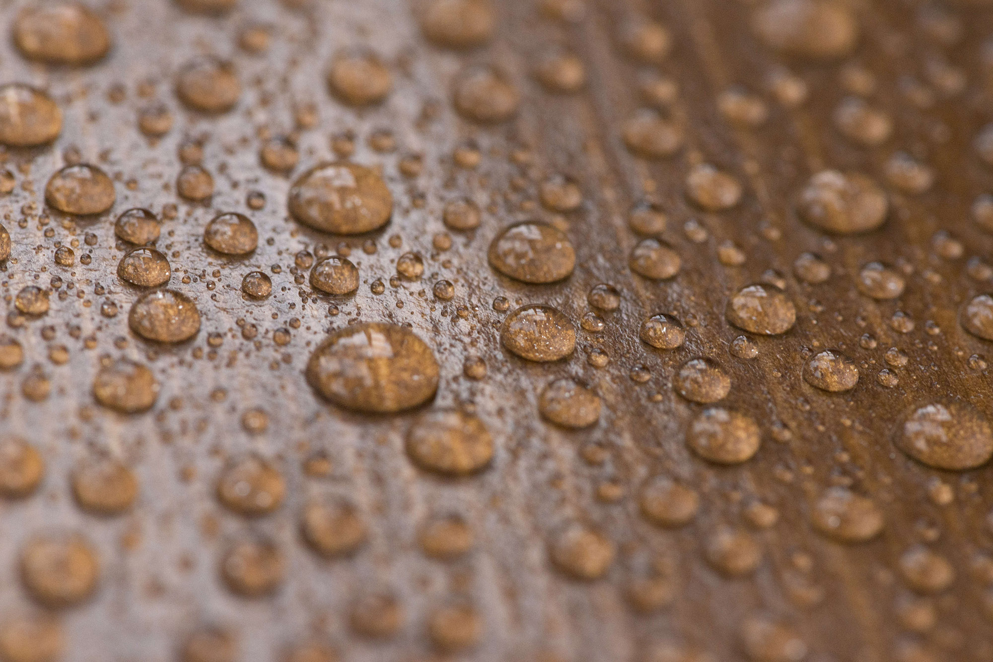 Beads of liquid on top of a hard wood surface.