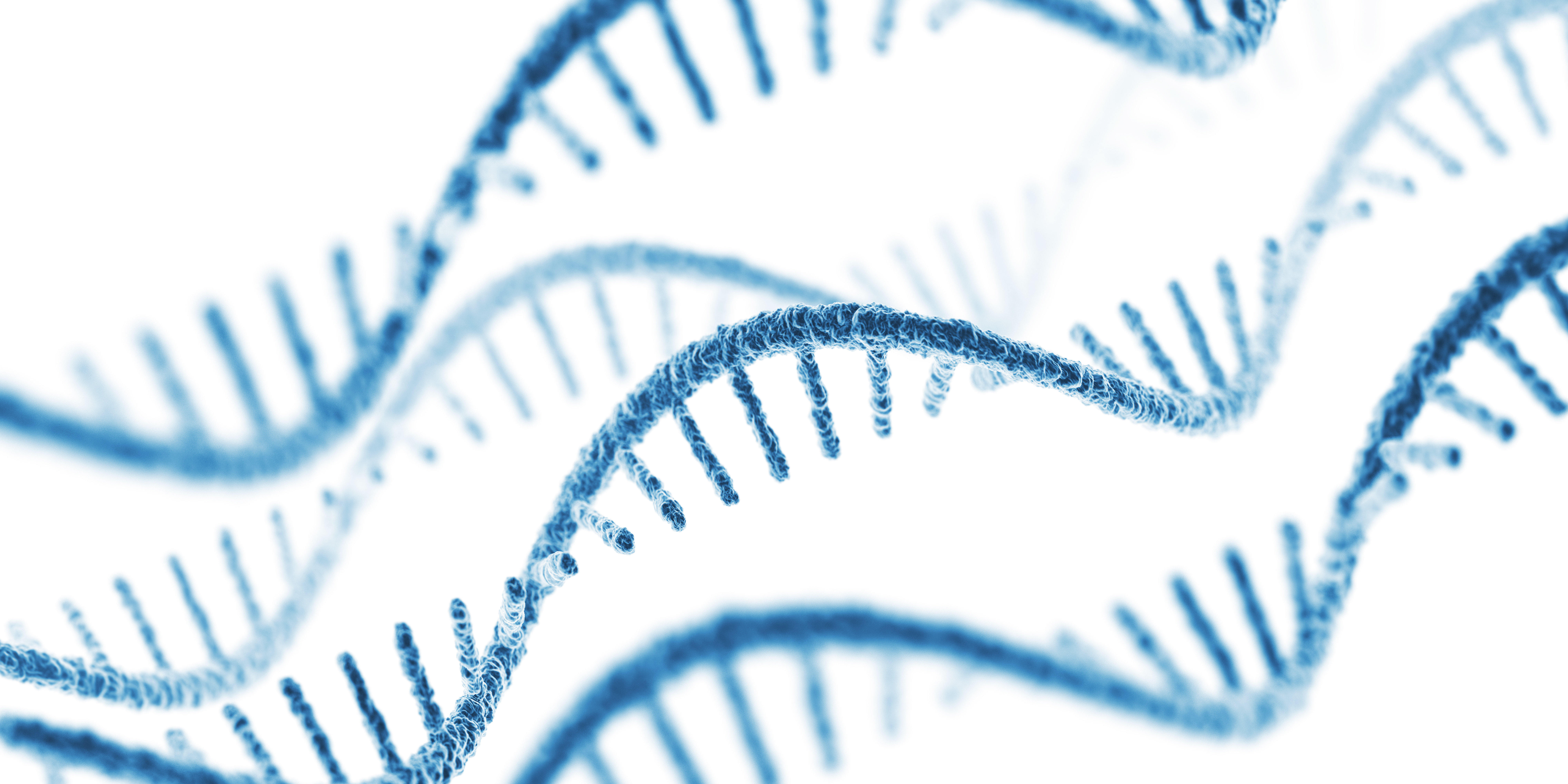 RNAi 치료 전달을 위한 임플란트